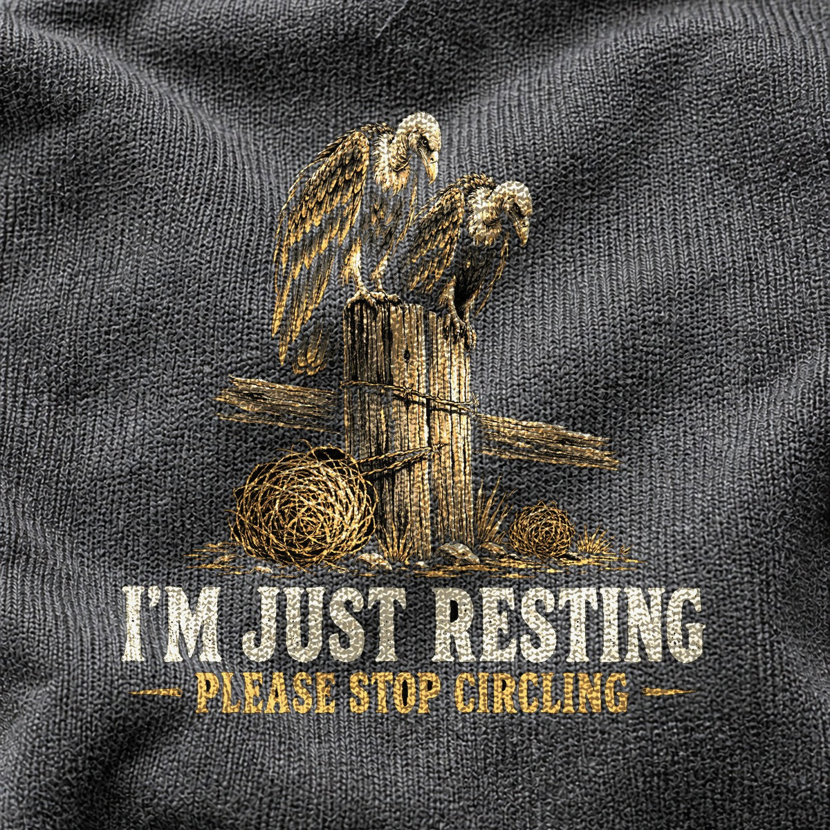 Just Resting Vultures Comfort Colors Graphic T-Shirt