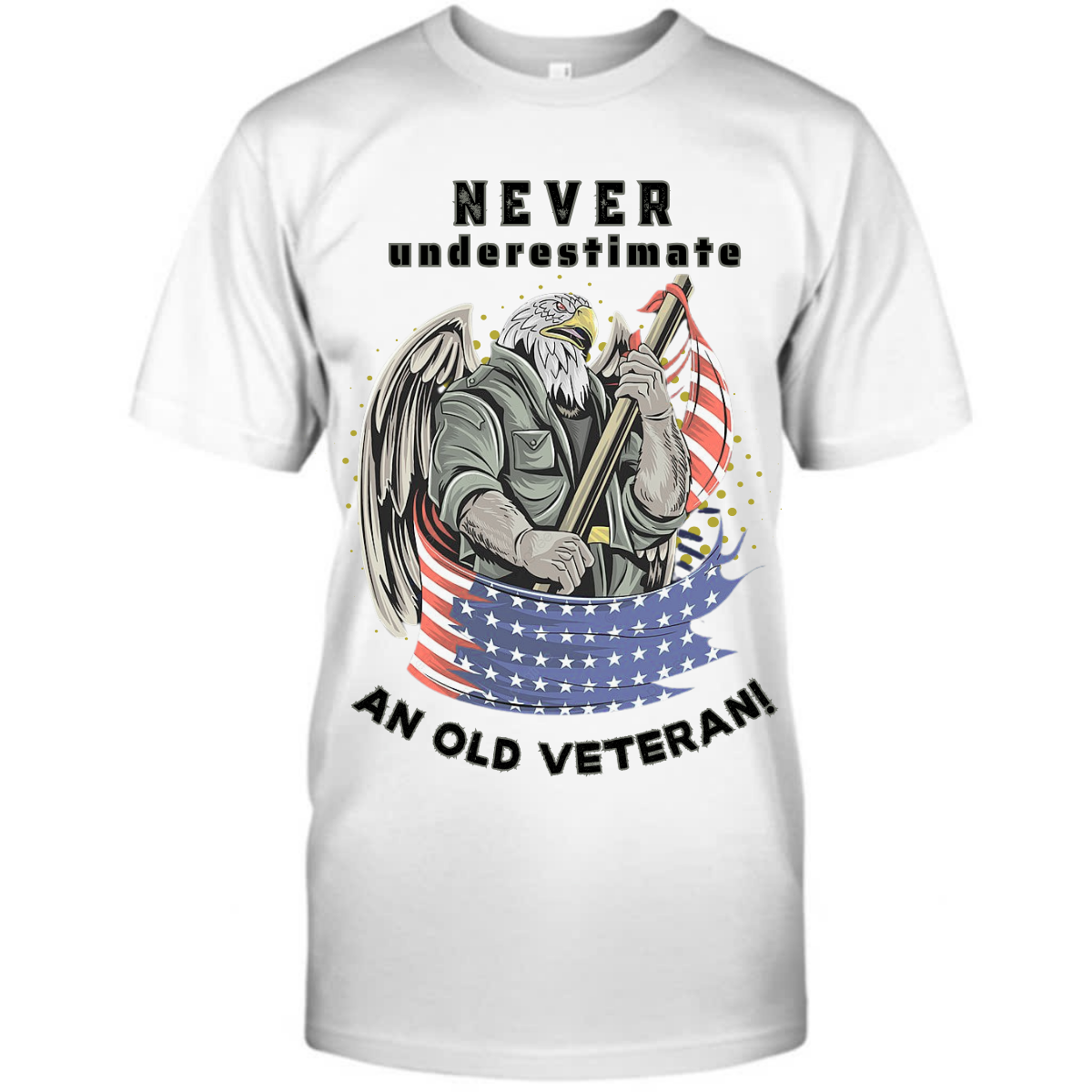 Never Underestimate An Old Veteran T-Shirt - Ideal Gift for Veteran - Patriotic  Humor T-Shirt