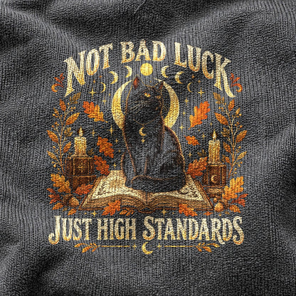 High Standards Black Cat Comfort Colors T-Shirt, Fall Graphic Tee