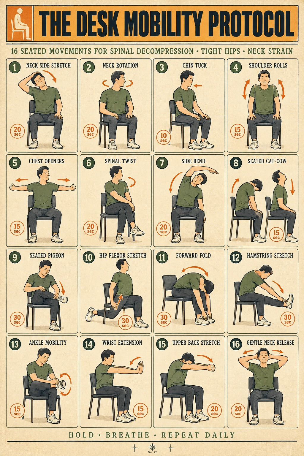 Desk Mobility Protocol Poster, Seated Stretching Routine Chart