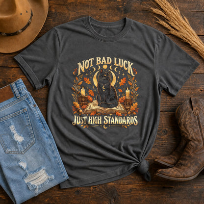 High Standards Black Cat Comfort Colors T-Shirt, Fall Graphic Tee