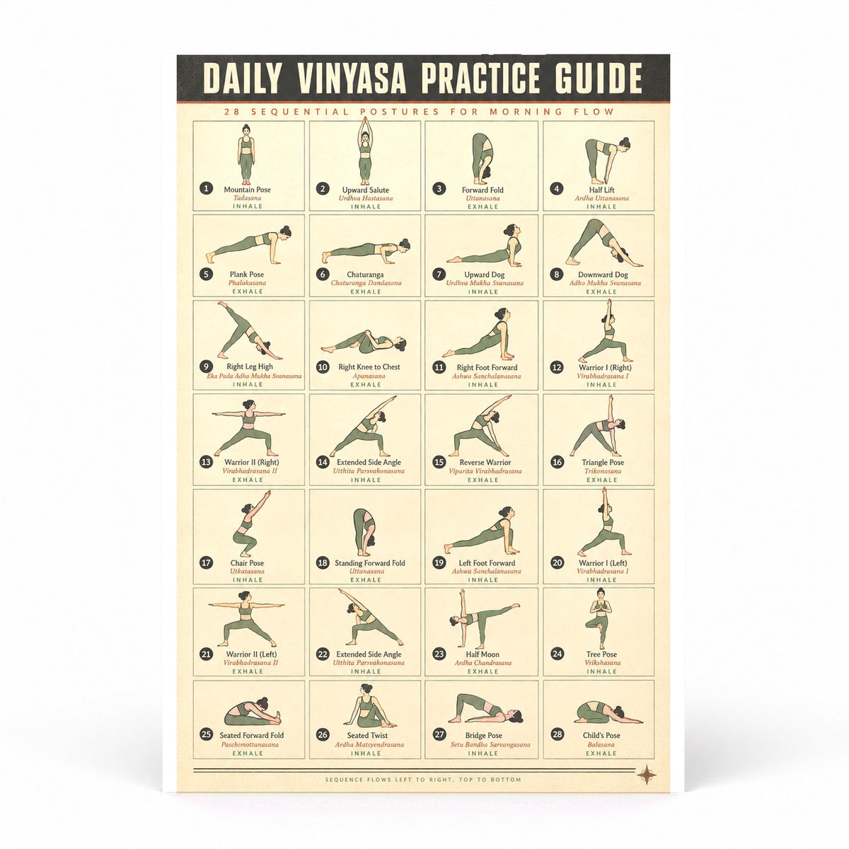 Daily Vinyasa Yoga Practice Guide Flow Instructional Poster
