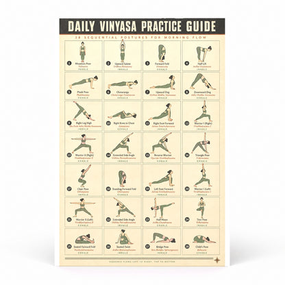 Daily Vinyasa Yoga Practice Guide Flow Instructional Poster