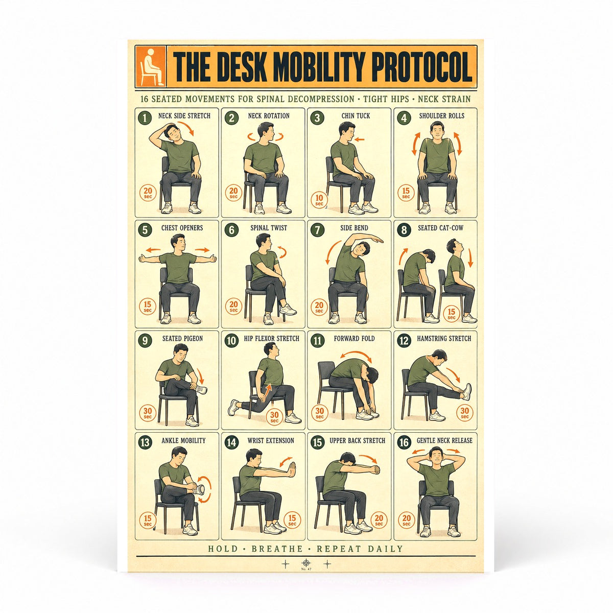 Desk Mobility Protocol Poster, Seated Stretching Routine Chart