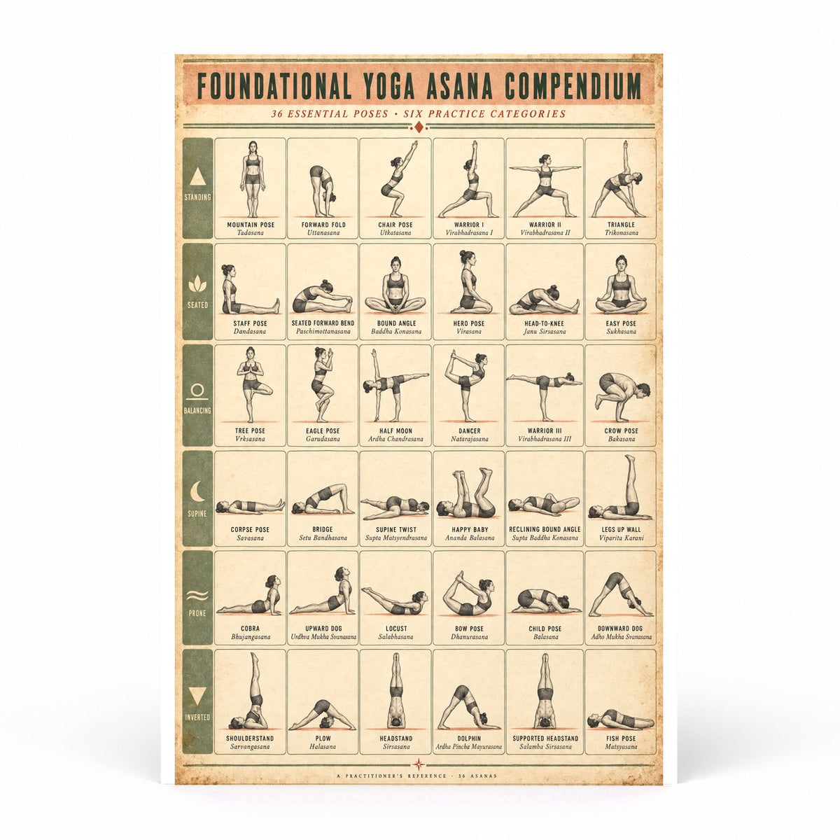 Foundational Yoga Asana Compendium Poster, Reference Chart