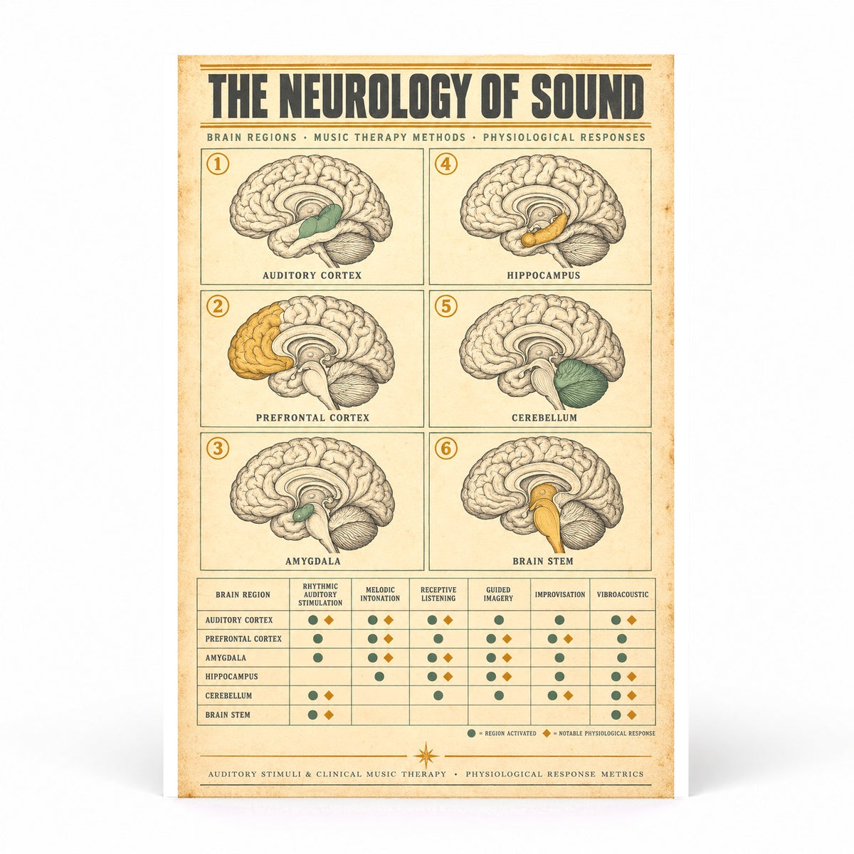 Neurology of Sound Reference Chart Unframed Poster