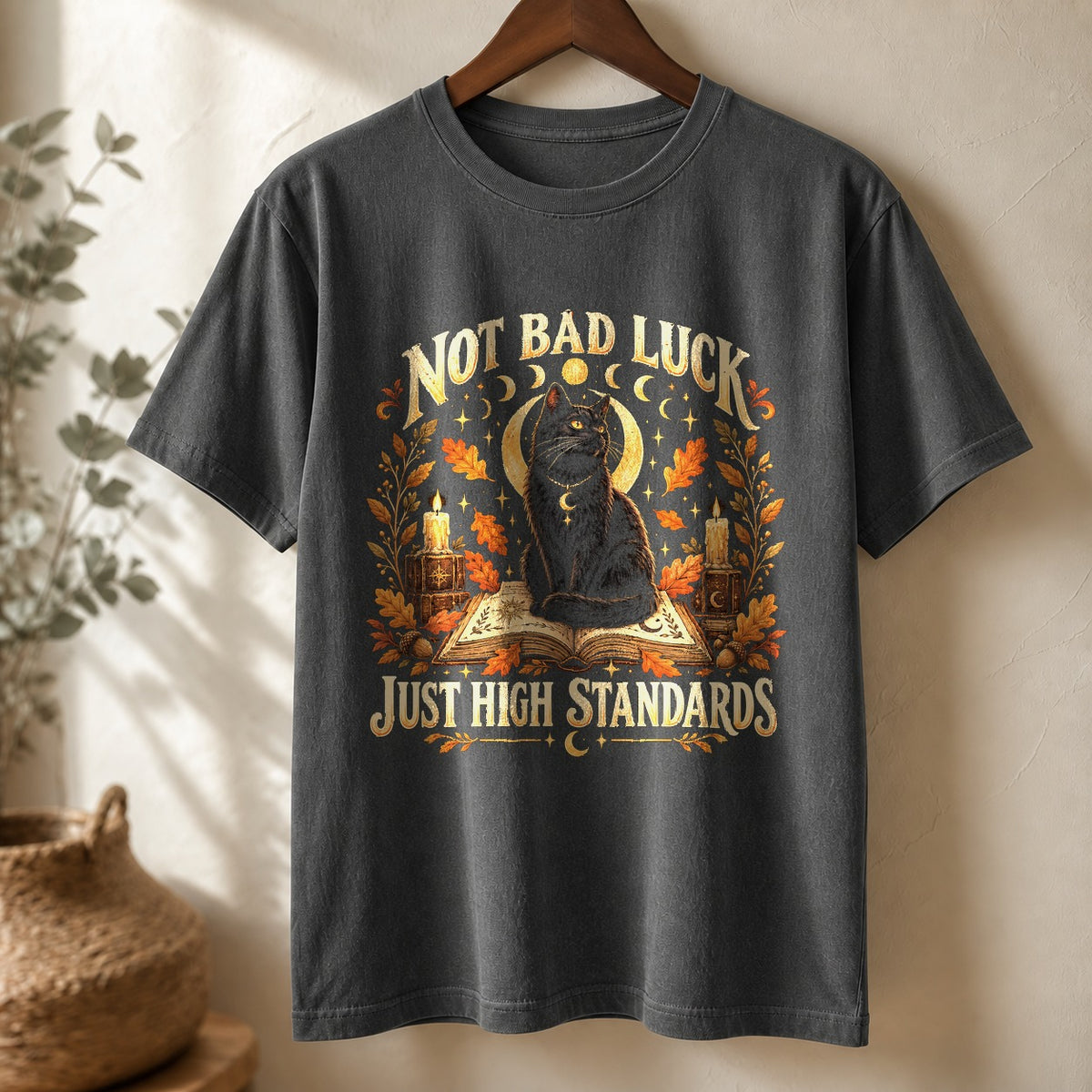 High Standards Black Cat Comfort Colors T-Shirt, Fall Graphic Tee